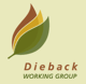 Dieback Working Group