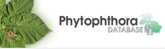 Phytophthora database